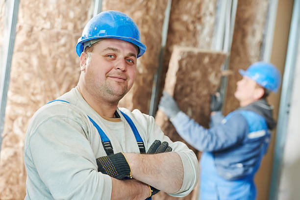 Best Cellulose Insulation  in Olcott, NY