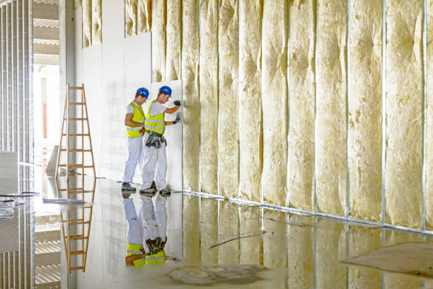 Garage Insulation Installation in Olcott, NY